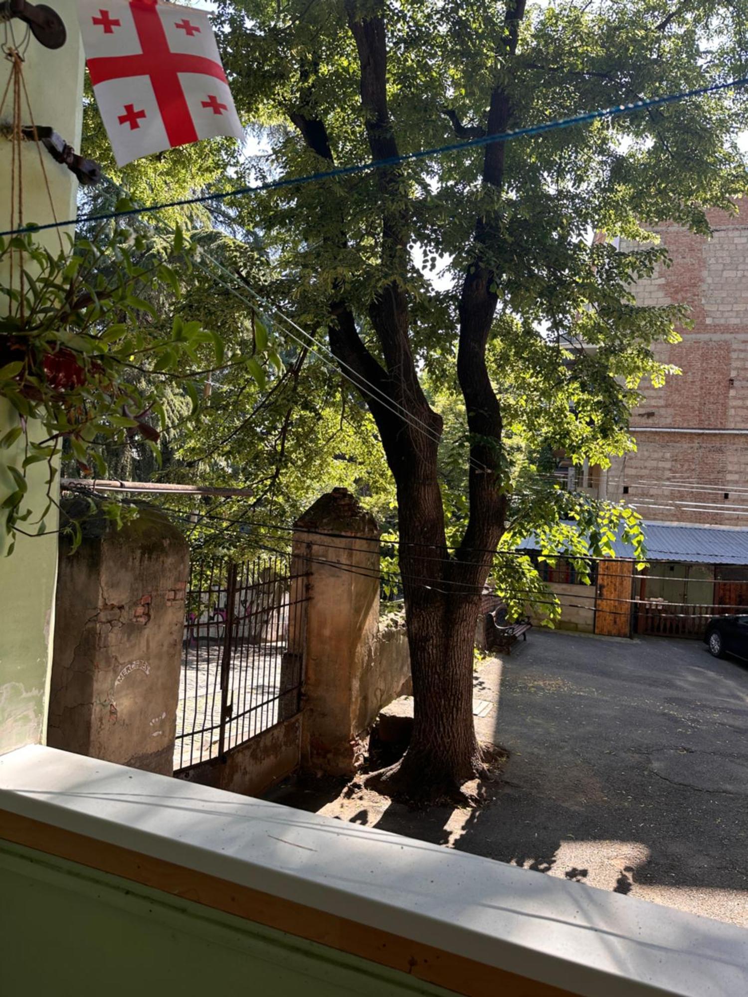 Authentic Old Tbilisi Apartment 外观 照片